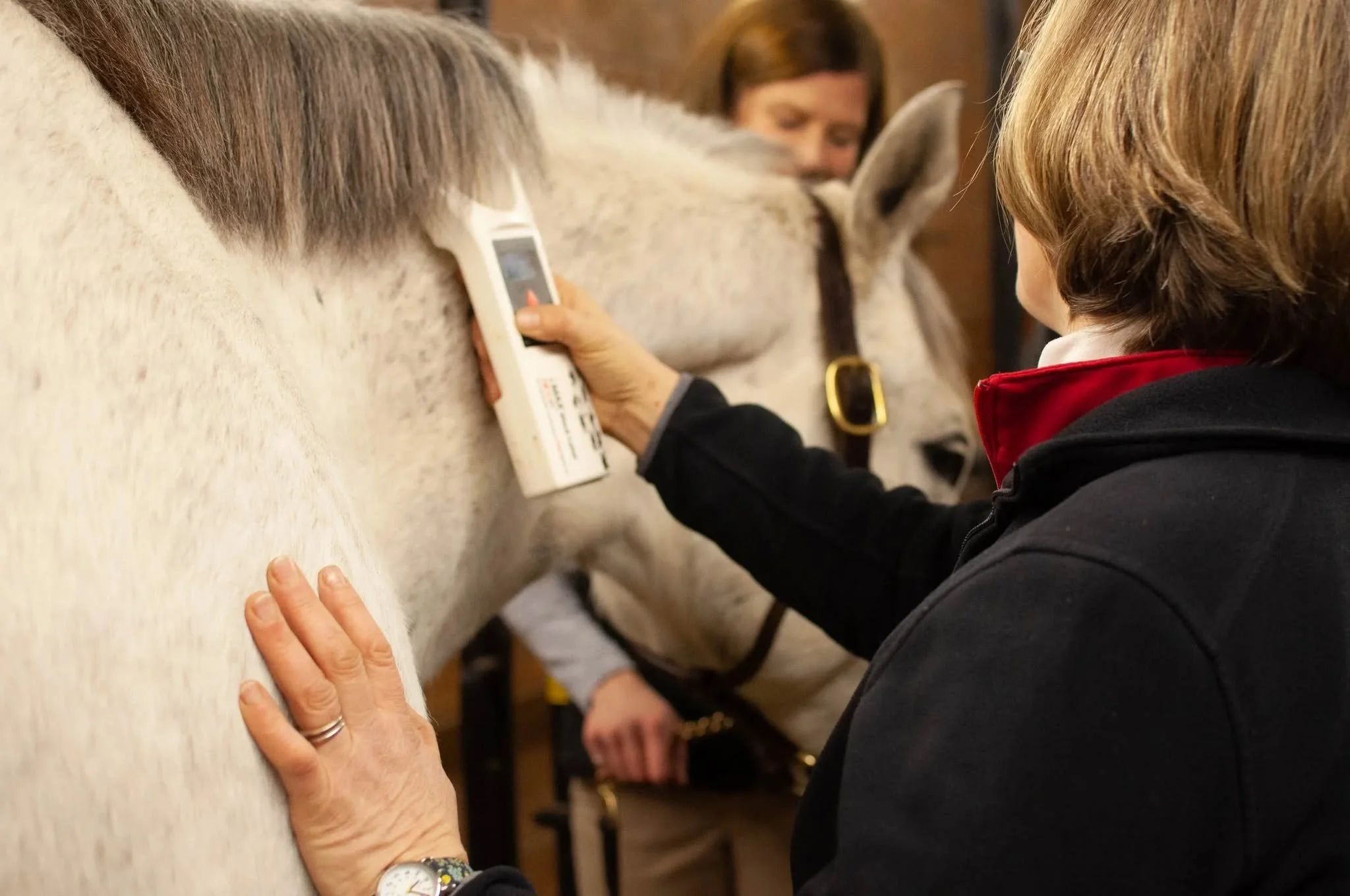 With the recent flooding in our area, have you considered microchipping your horse?
🌊🌊🌊
It's an important part of modern horse management, whether for registration requirements or as a crucial safeguard in case of a disaster.
#equinemicrochipping 