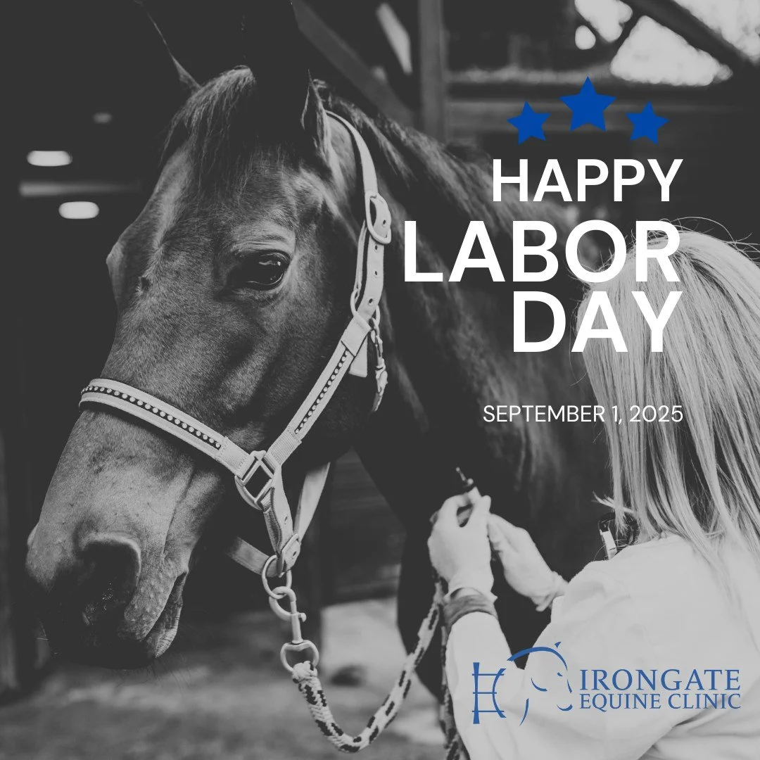🇺🇸 Labor Day Closure Notice 

Our office will be closed on Monday, September 1st, in observance of Labor Day. We are grateful for our dedicated team and the clients and patients we serve each day. 

Wishing you and your family a safe and restful ho