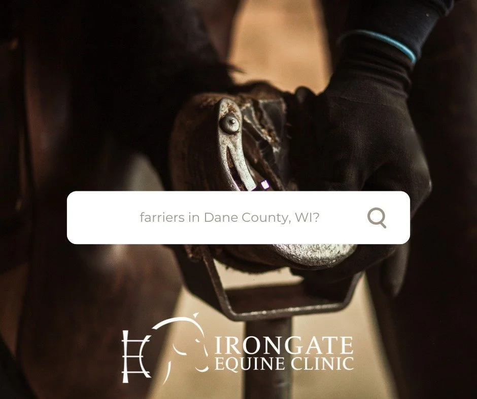 Calling all farriers serving south-central Wisconsin!🐎

We are currently updating our farrier list and would like to include farriers who are taking on new clients. If you are a farrier with availability, please feel free to add your contact informa