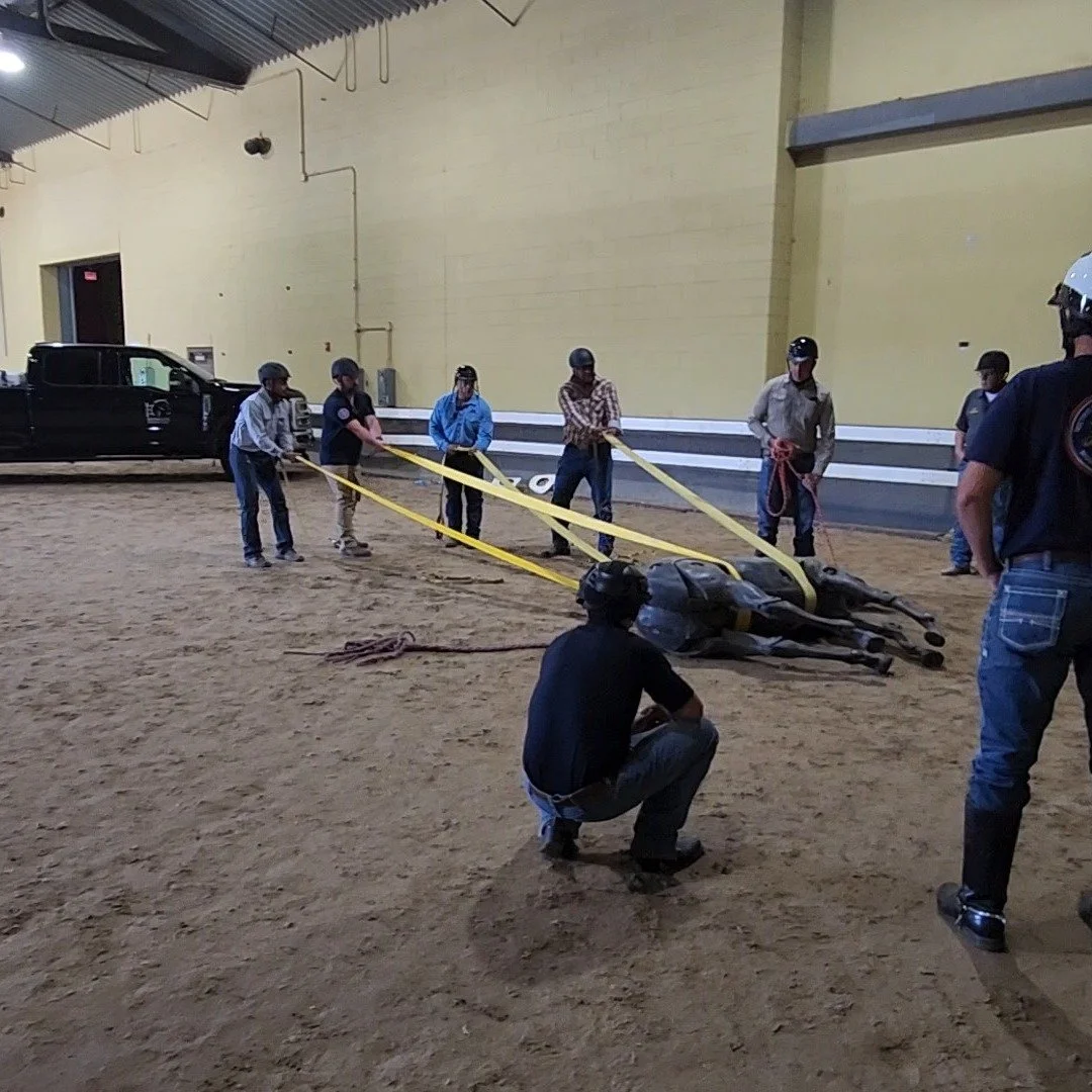 Dr. Ketover, along with fellow Wisconsin Large Animal Emergency Response board members Claire and Molly, recently spent a week at the Kentucky Horse Park. They were there to train police officers on improving healthy outcomes related to handling larg