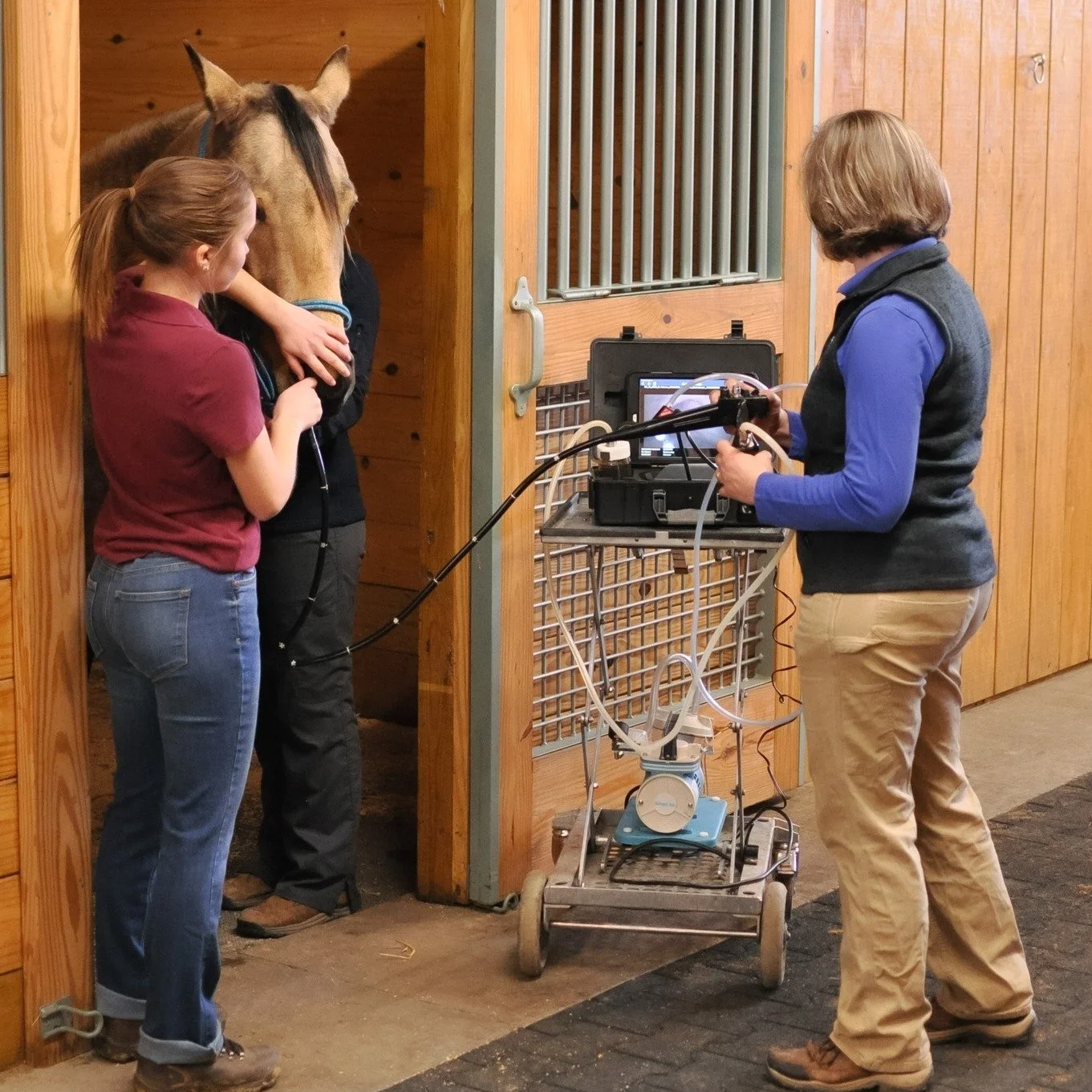 🐴 Now Accepting Applications! 🌸
Join us for our 2026 Spring/Summer Equine Veterinary Internship 🩺✨

📍 Madison, WI
🗓️ Part-Time | March&ndash;June
💰 Paid (based on experience)

If you&rsquo;re passionate about horses and ready to get your boots 