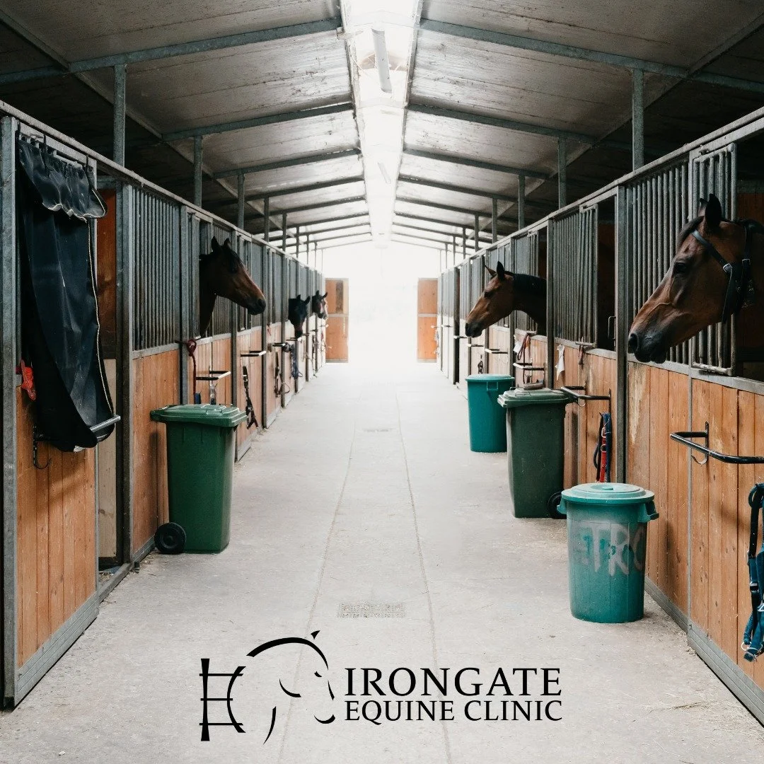 🥶 As temperatures drop, don&rsquo;t forget your horse&rsquo;s medications!

Many liquid and paste medications &mdash; including dewormers, antibiotics, and supplements &mdash; can lose effectiveness or even freeze if left in the barn.

👉 Bring them