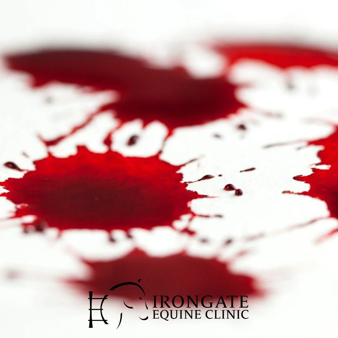 🩸 Equine Bleeding: Did You Know? 🐴
Horses are incredible animals&mdash;and their bodies are built to handle more than you might think.

👉 An adult horse&rsquo;s blood volume is about 8% of its body weight.
For example, a typical 1,100 lb horse car