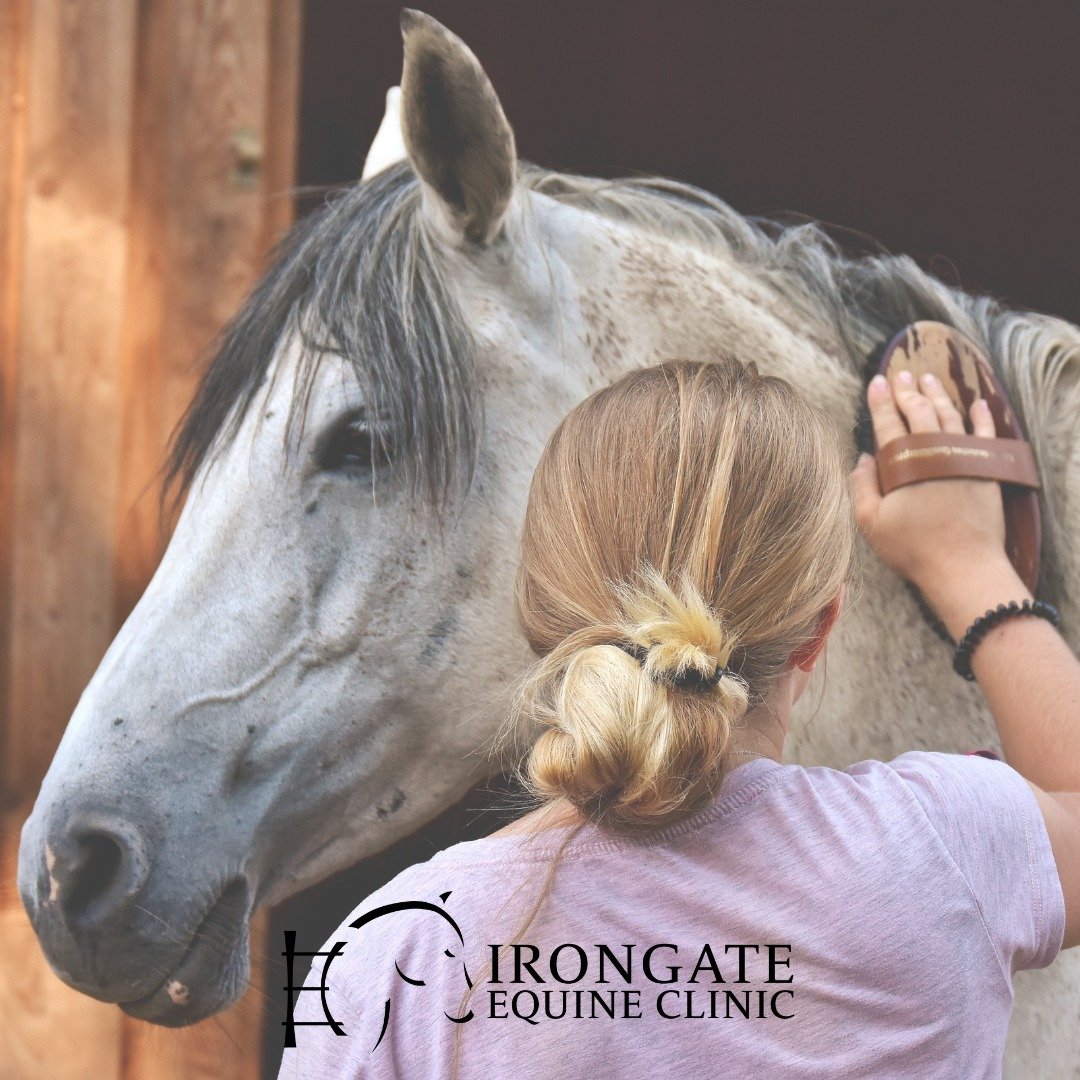 📱 Did you know we can text and email with you&mdash;just like your MyCharts for human healthcare?

Staying connected with your horse&rsquo;s care team should be easy, and we&rsquo;re happy to offer multiple ways to reach us!

💬 Text us anytime: (60