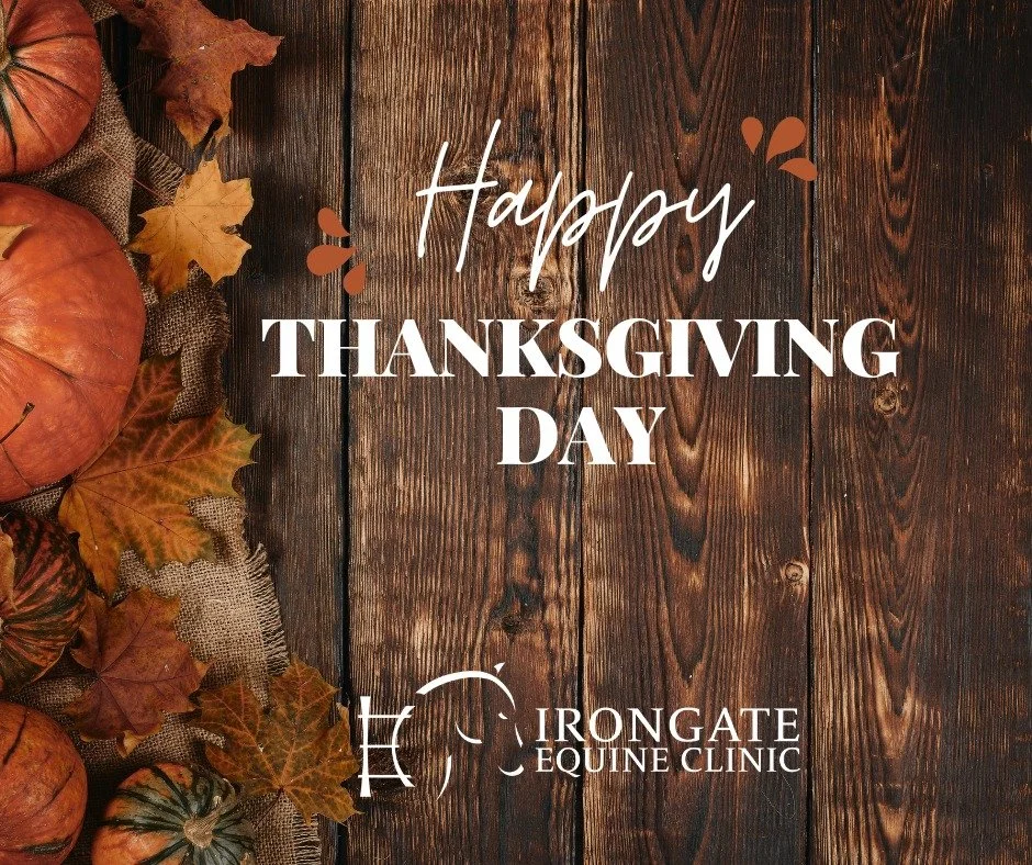 Holiday Notice 🍁🦃

Our office will be closed on Thursday, November 27th, for Thanksgiving Day and will remain closed on Friday, November 28th. 

Wishing you a joyful holiday!🦃

#HappyThanksgiving2024 #EquineWellness