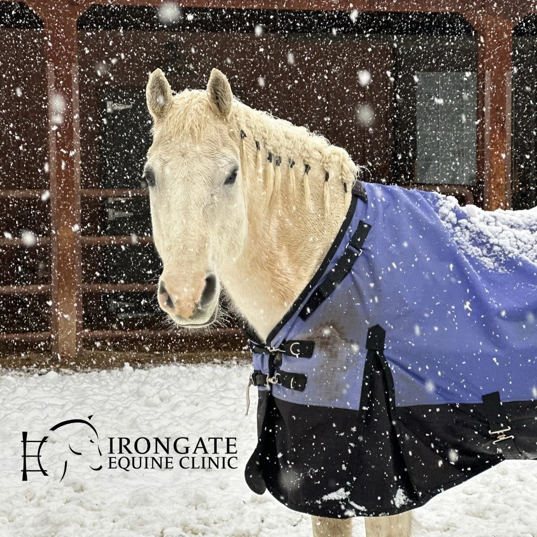 ❄️ Winter Horse Care: Does Your Horse Need a Blanket? 🐴🧣

As temperatures drop, it&rsquo;s important to decide whether your horse needs the extra warmth of a winter blanket &mdash; and the answer isn&rsquo;t always simple!

🌬️ Hair Coat Matters
A 
