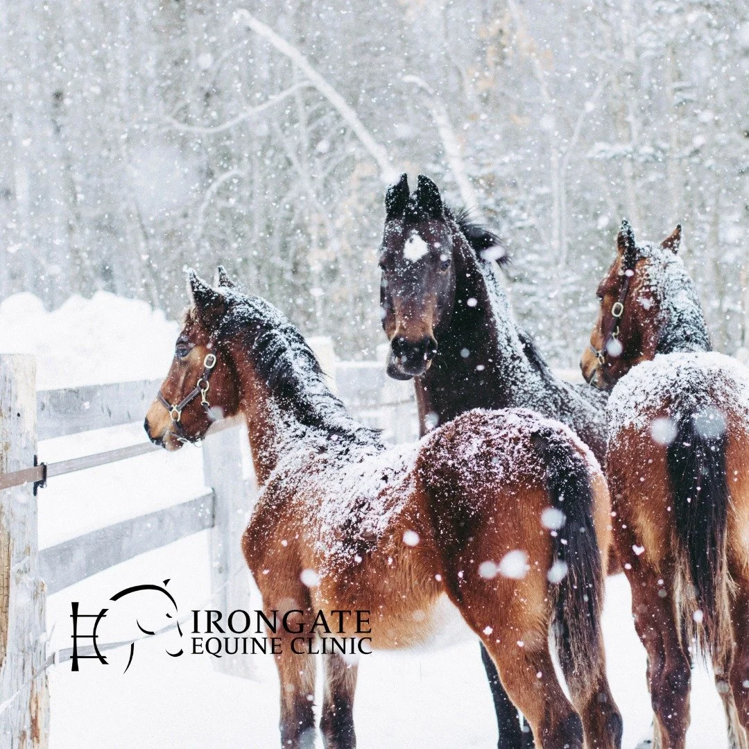 ❄️⚠️ Winter Weather = Slippery Situations ⚠️❄️

Southern Wisconsin has been through it lately&mdash;snow, rain, melting, refreezing&mdash;and that means one big concern for horse owners: ICE. Barnyards, walkways, paddocks, and pastures can turn dange