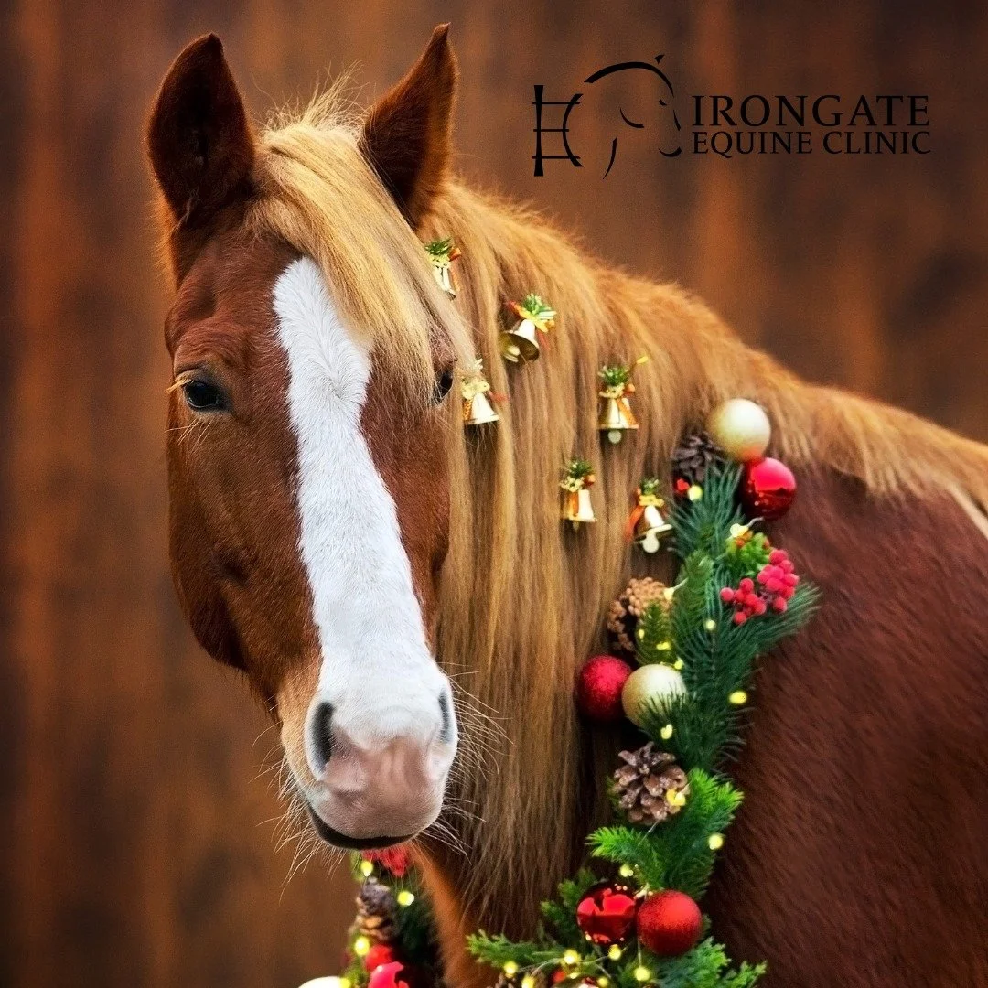 🎄 Holiday Reminder for Horse Owners 🐴👇

With the holidays approaching and wreaths up, please remember to keep wreaths made from Yew plants well out of reach of your horse(s).

⚠️ Important Safety Note:
The needles and seeds of all Yew plants are h