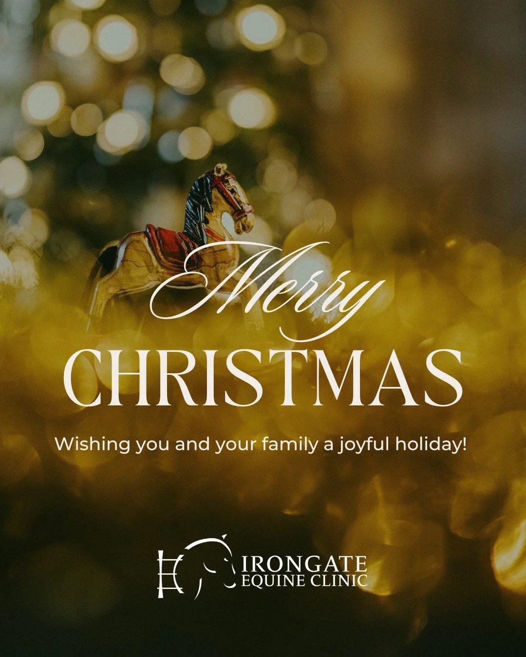 Happy Holidays! 🎄⛄

Our office will be open on Christmas Eve from 8:00 AM to 12:00 PM. We will be closed on Christmas Day and Friday, December 26th.

As always, we will provide 24-hour emergency care.