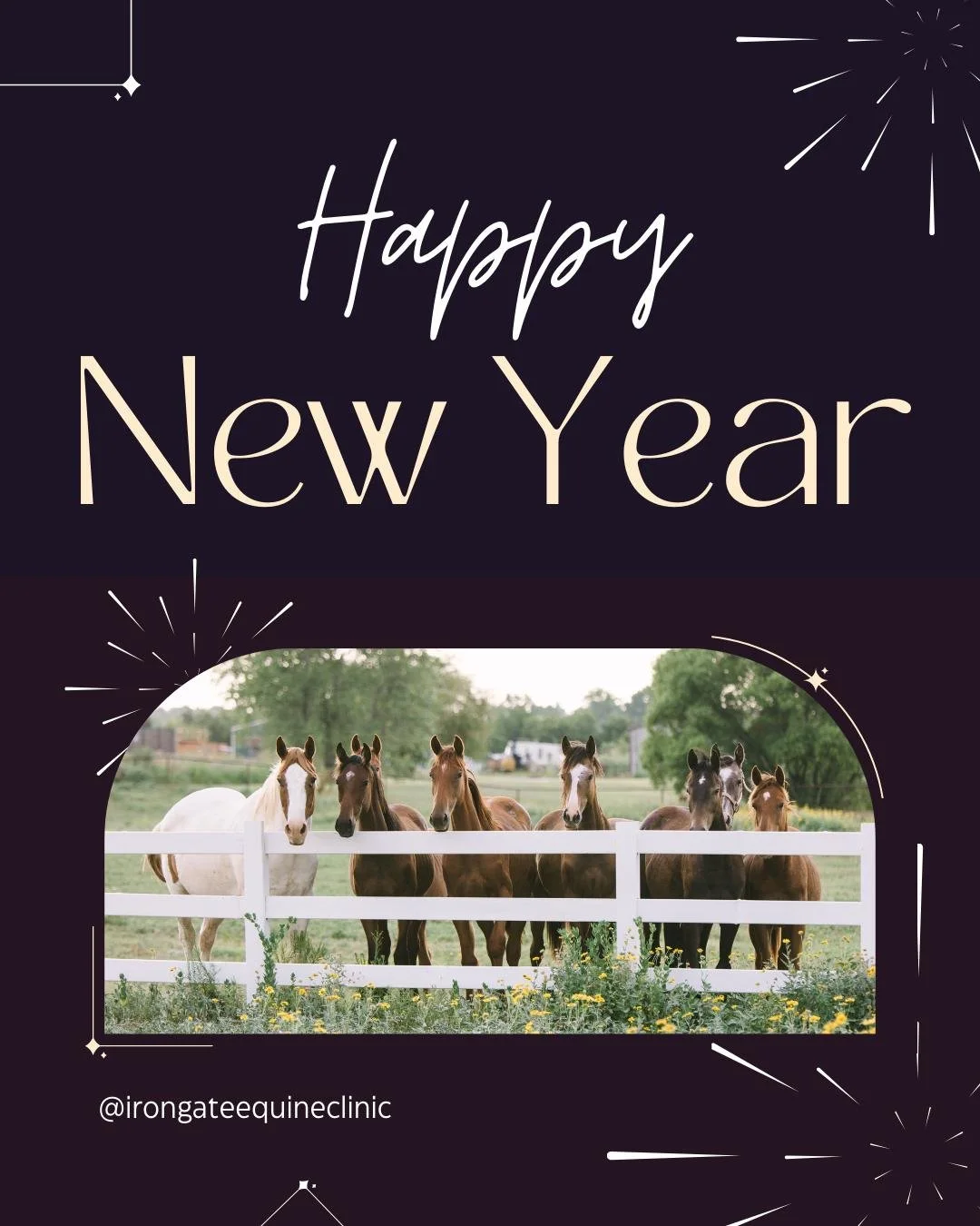 Happy New Year🥂

Our office will be open on New Year's Eve from 8:00 a.m. to 12:00 p.m. and closed on New Year's Day.  We will be open Friday, January 2nd, 8:00 a.m. to 12:00 p.m.  As always, we will provide emergency care 24 hours a day!

 #newyear