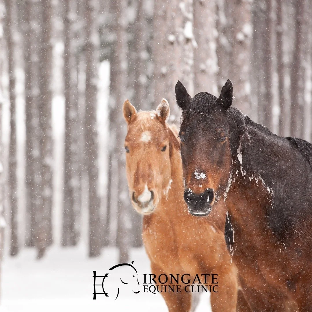 ❄️ BRUTAL COLD REMINDER ❄️

🛖 **Shelter Matters**
Healthy horses with good body condition (BCS 5&ndash;6+) and full winter coats do well when protected from wind and moisture. Tree lines, run-ins, or well-ventilated barns make a big difference &mdas