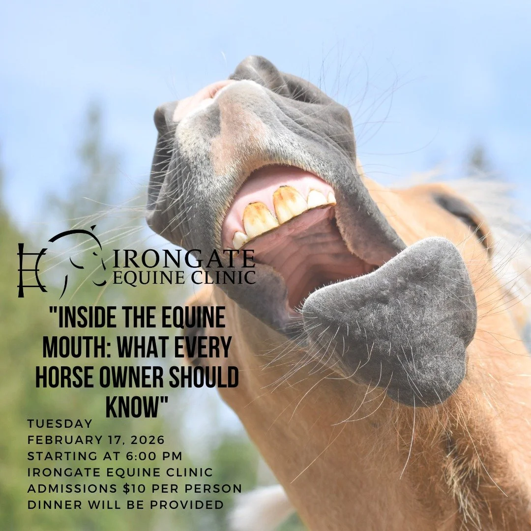 📣 Equine Education Seminar &ndash; February 17th!

Join us on February 17th at 6:00 PM for our next Equine Education Seminar!

This month&rsquo;s topic: Equine Dentistry 🦷🐴

Whether you&rsquo;re a seasoned owner or new to horse care, we&rsquo;ll b