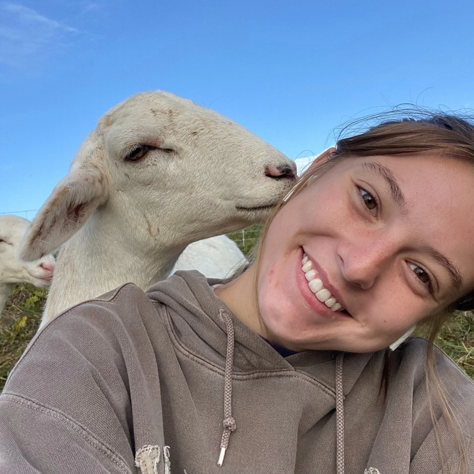✨ Meet Our New Intern! ✨

Please help us welcome Noelle, our Spring/Summer 2026 intern! You&rsquo;ll be seeing her out in the field assisting our veterinarians over the coming months.

Noelle grew up in Pewaukee, Wisconsin, and has been around horses