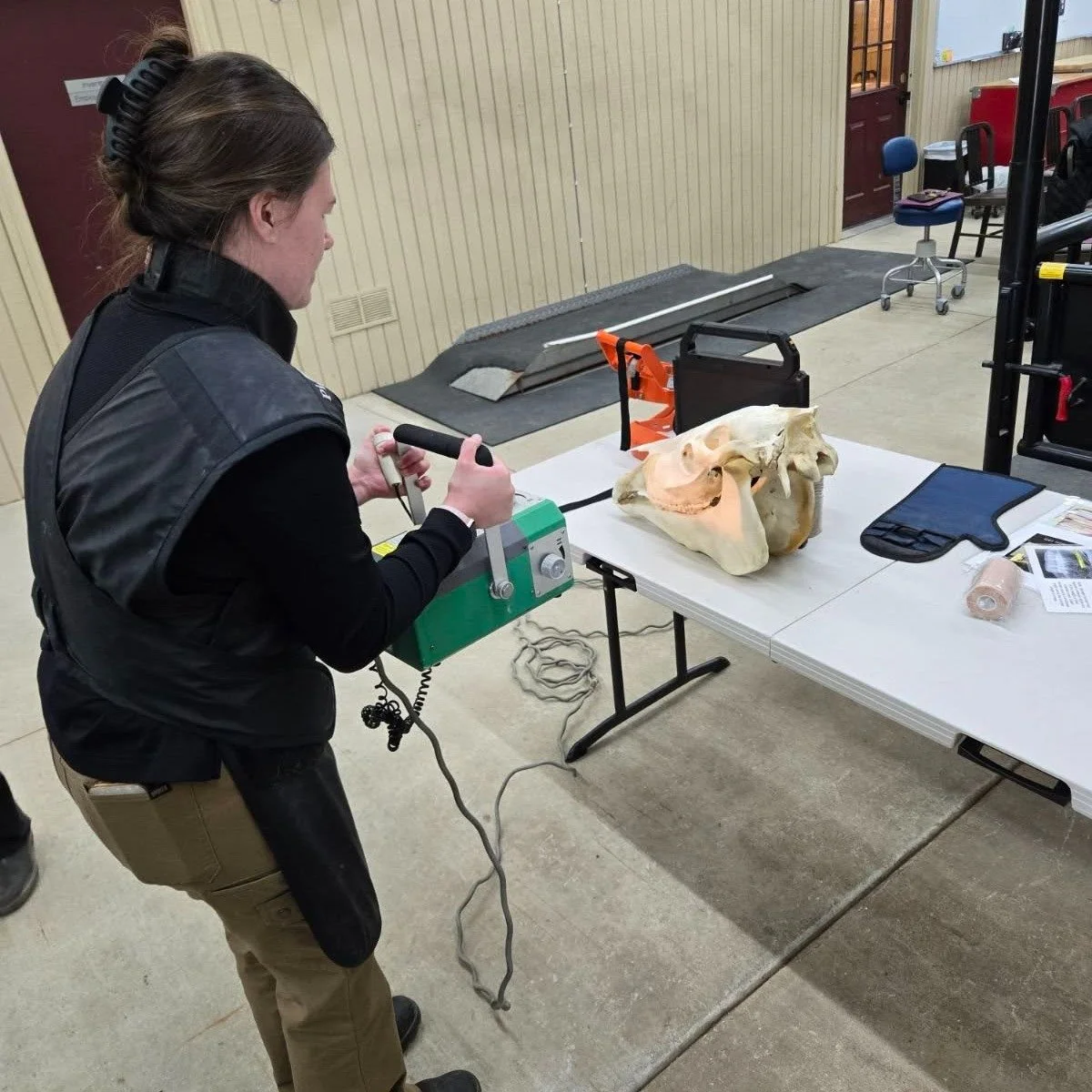 👀🐴 Spotted at a CE Event

Brooklynn, Dr. Lauren Alderman, and Rose were spotted at the Mastering Equine Dental Radiography hands-on seminar at Midwest Veterinary Dental Services in Elkhorn, WI!

Rose is a UW 4th-year veterinary student spending two