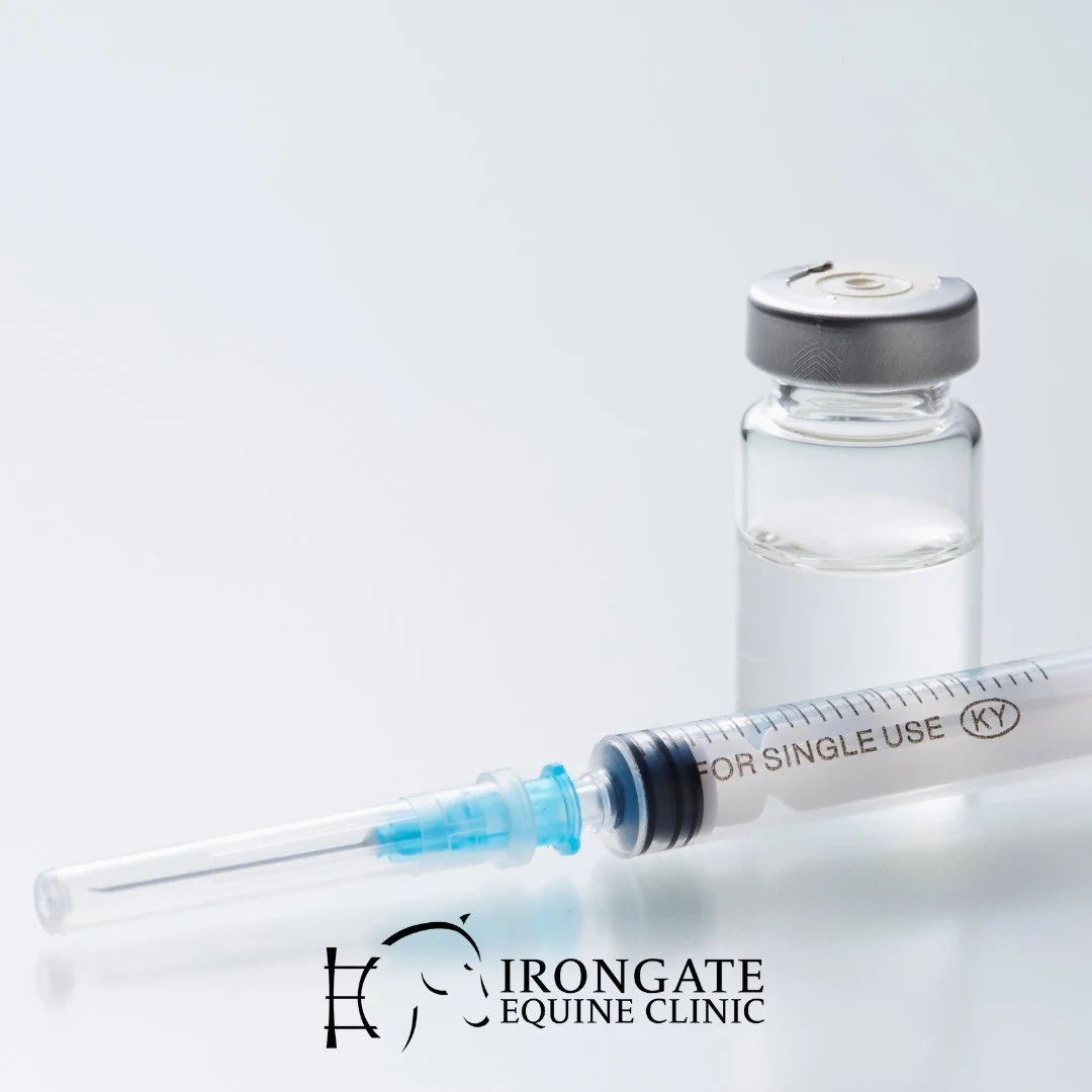 🦟 You vaccinate your horse against this every year&hellip; but do you know what it is?

It&rsquo;s called Eastern Equine Encephalitis (EEE) &mdash; and it&rsquo;s one of the most dangerous diseases horses face.

EEE is a mosquito-borne virus that at