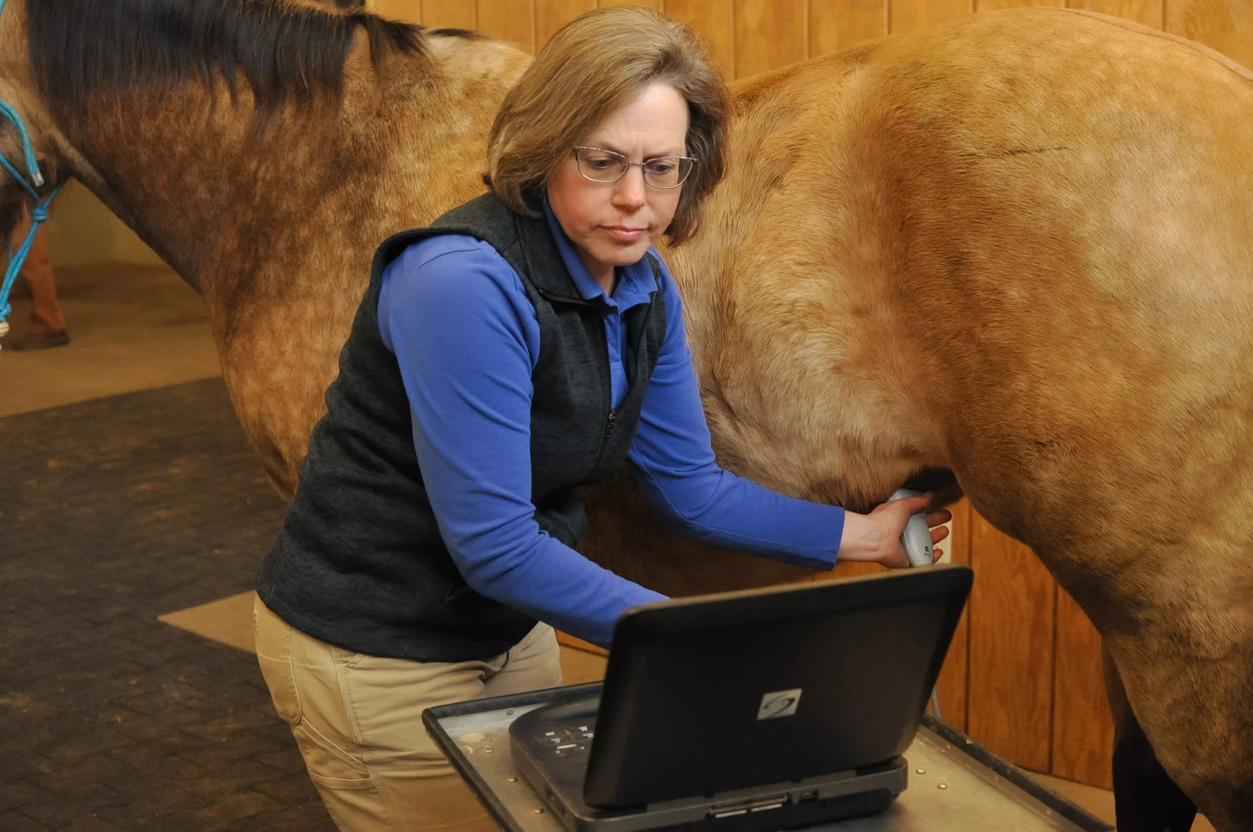 irongate23highres-176 (1).jpg