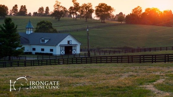 🌅 Longer Days = More Time in the Saddle! 🐴

After Daylight Saving Time this weekend, we&rsquo;ll start gaining more evening daylight &mdash; which means more opportunities to ride outside and enjoy the warmer days ahead.

If your horse had some tim