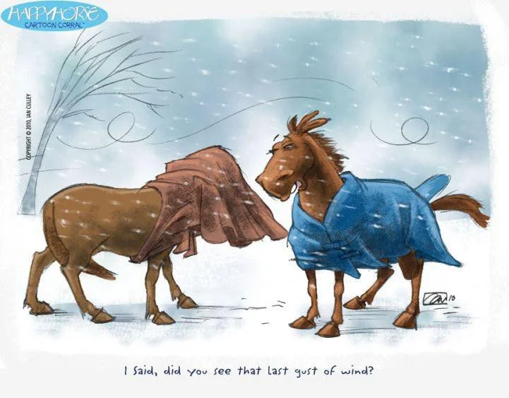 💨 Today&rsquo;s forecast: 100% chance of wind&hellip; with occasional flying feed pans.

If your horse is suddenly convinced that the flapping tarp, blowing leaf, and suspiciously moving tree branch are all definitely horse-eating monsters, you&rsqu