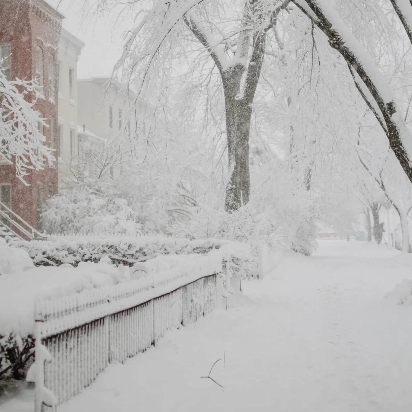 ❄️ Weather Update ❄️

Our office is open today, but due to the winter weather, our staff is working remotely. We&rsquo;re still available by phone and happy to help with any urgent needs or questions.

If you need to schedule an appointment or have a