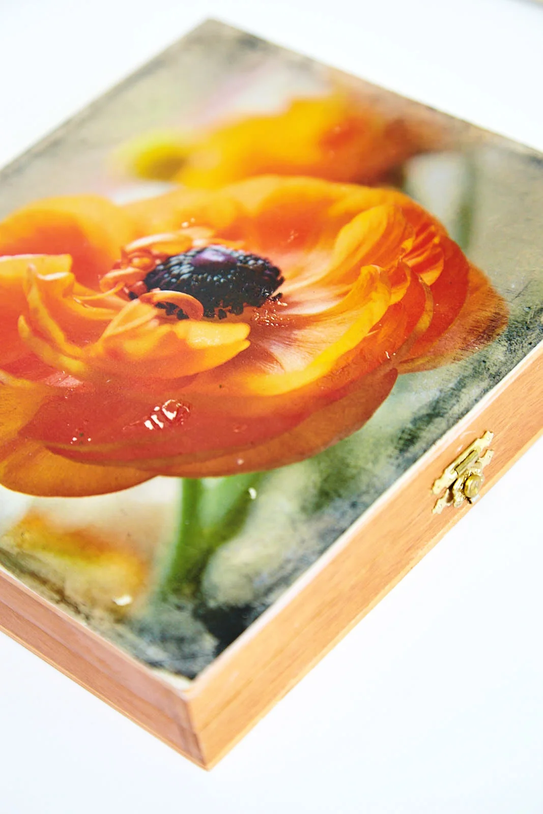 Ranunculus cigar box detail