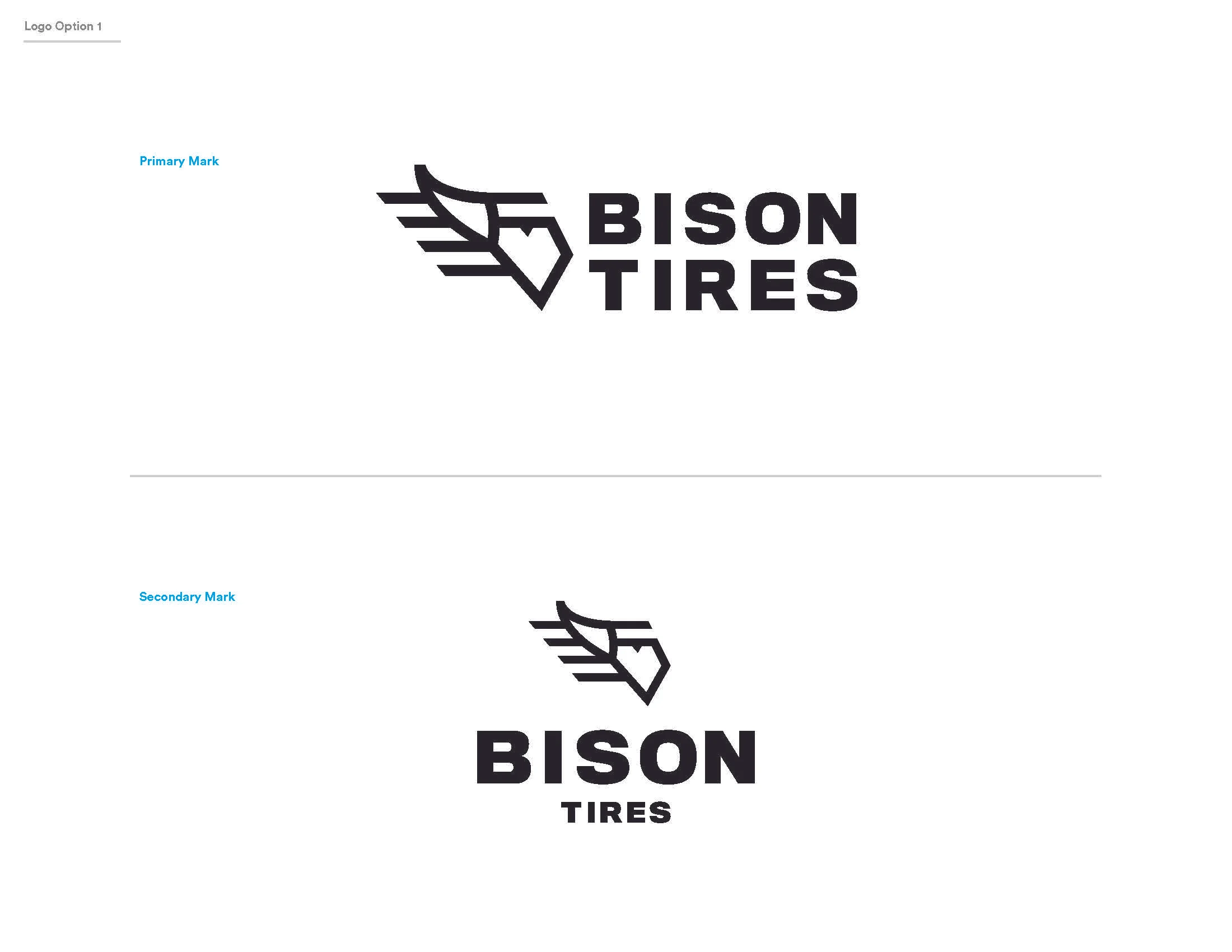 BisonTire_Working_Page_2.jpg