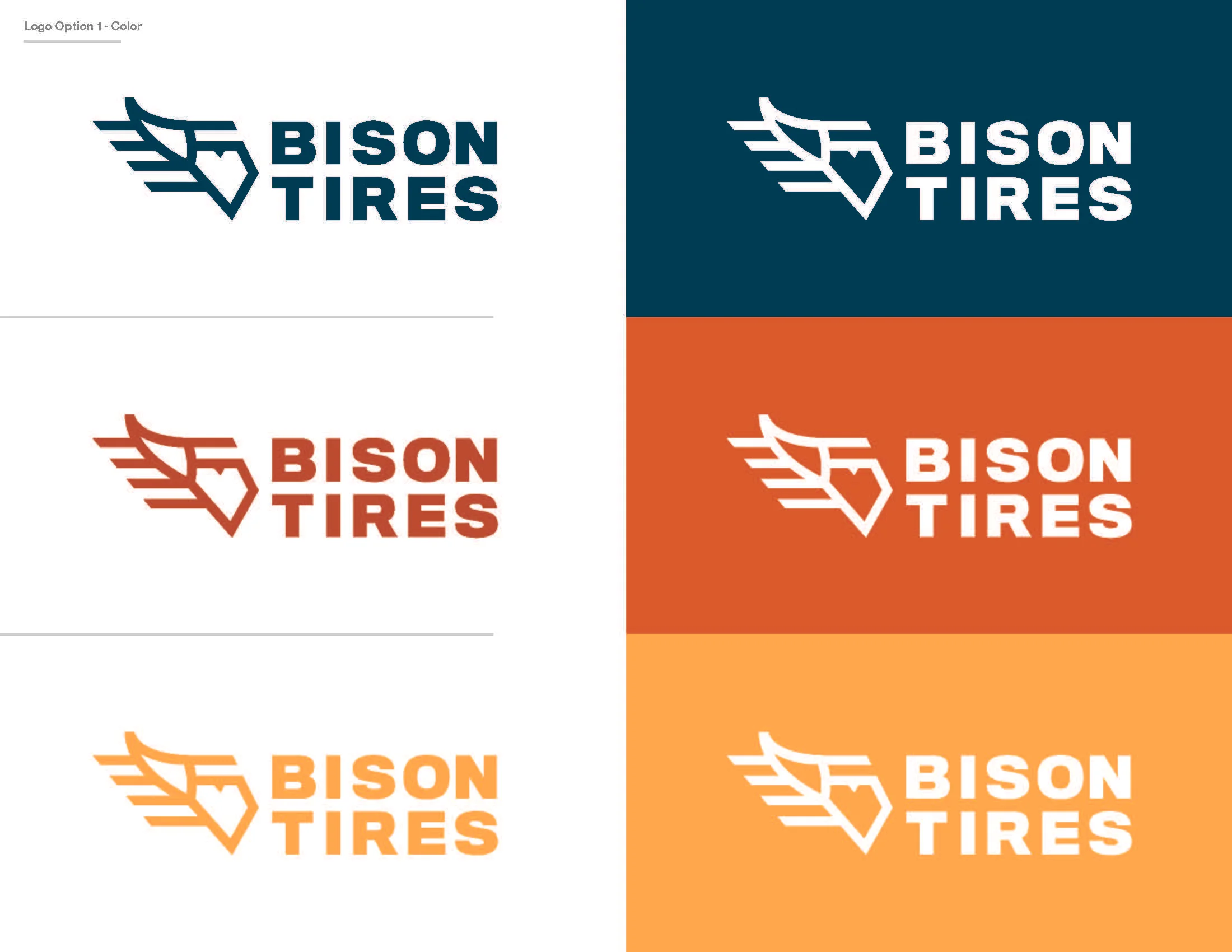 BisonTire_Working_Page_4.jpg