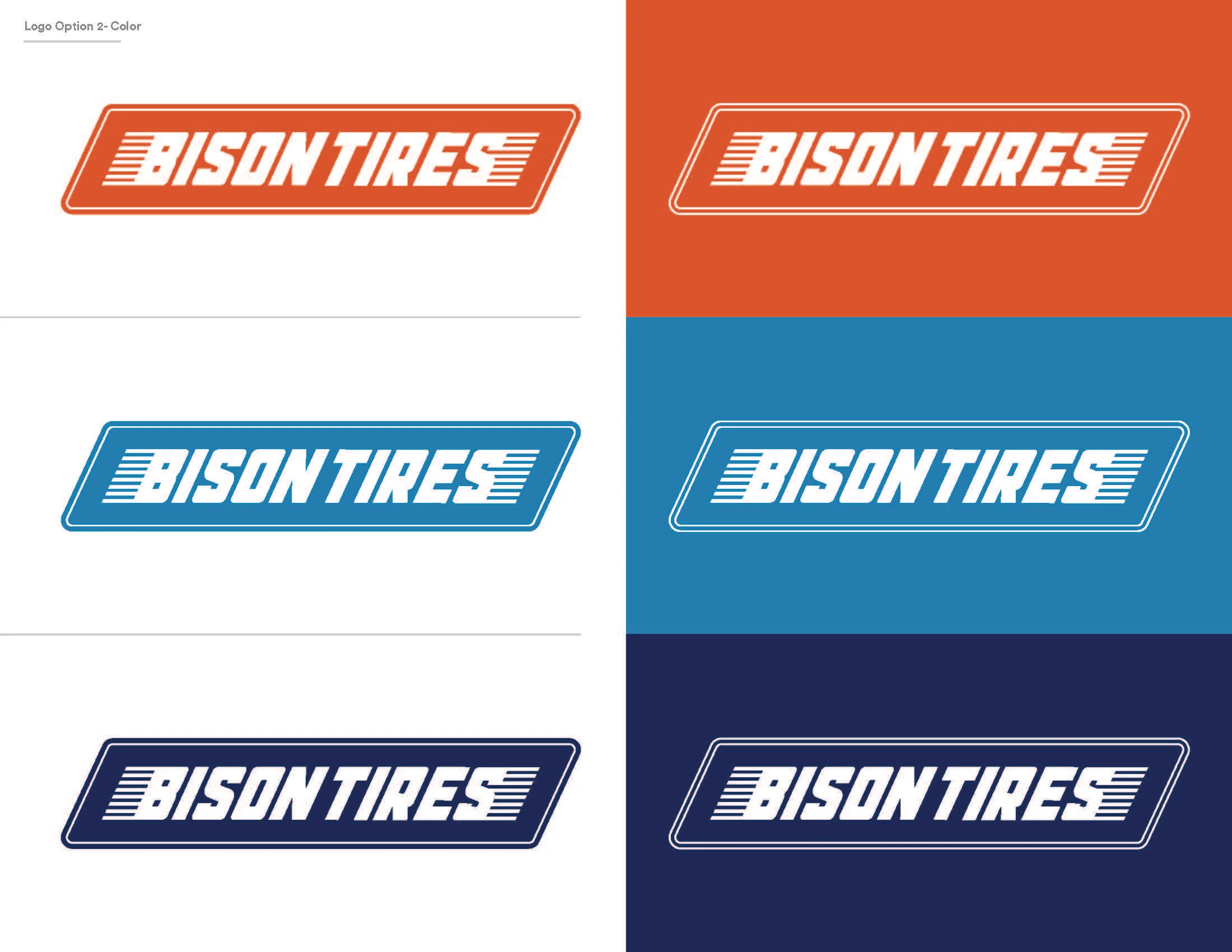 BisonTire_Working_Page_5.jpg