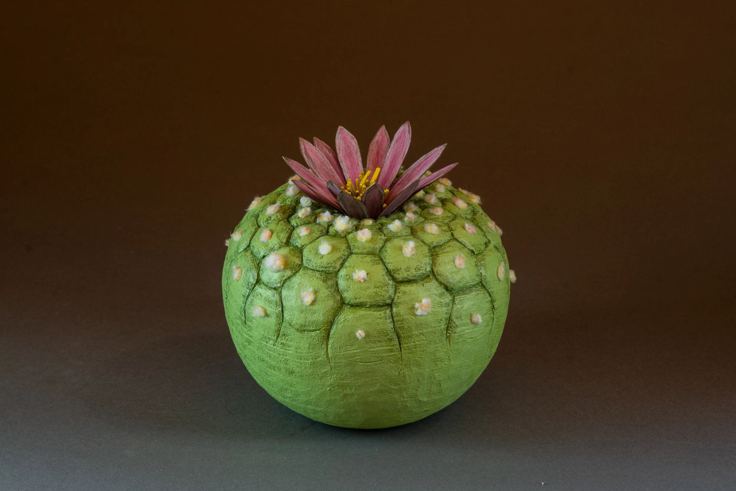 Aeolian Cactus