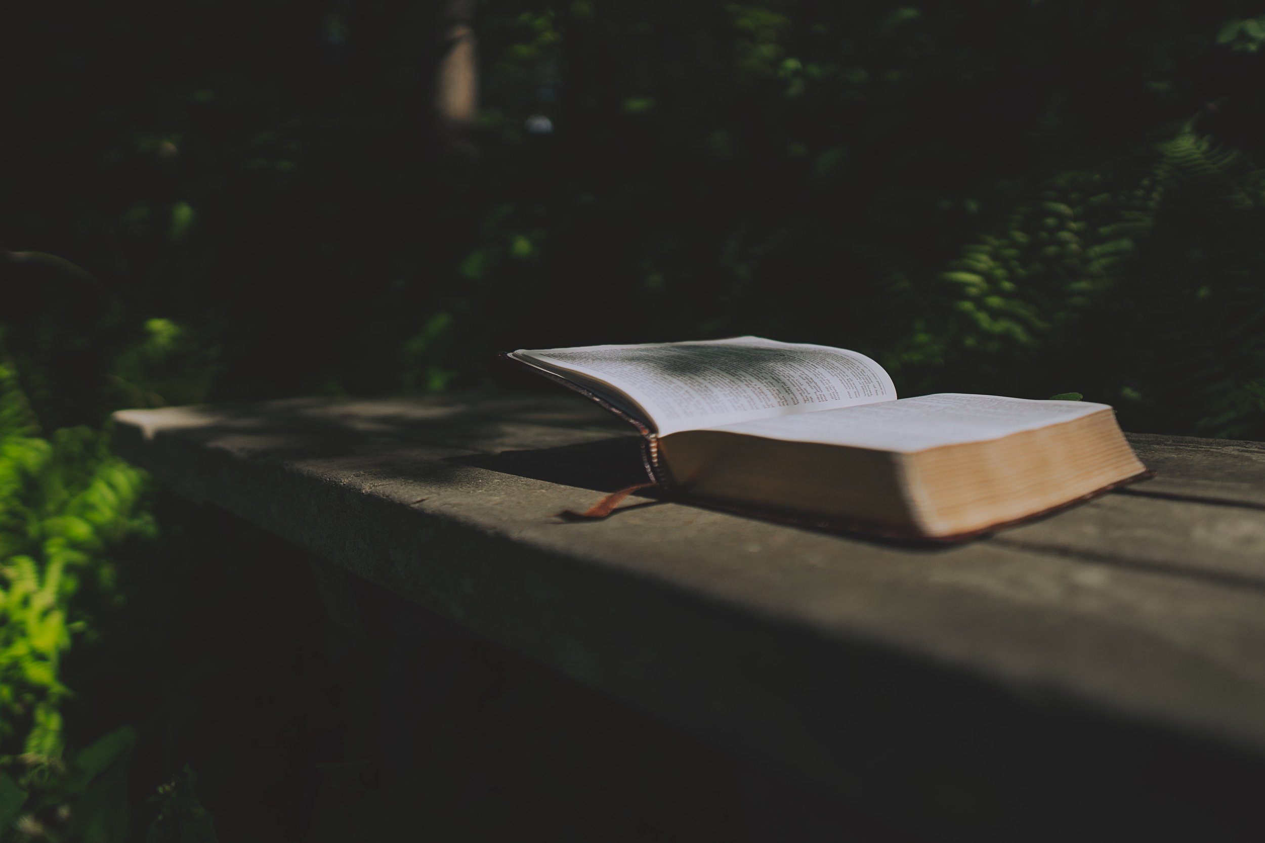 emmanuel-phaeton-bibles.jpg