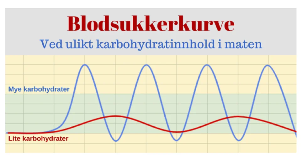 Blodsukkerbalansen diagram.jpg