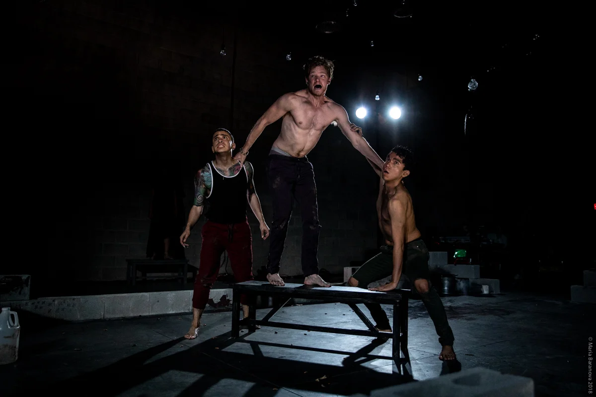 Lab_C_THE_TRIUMPHANT_Baranova-3210.jpg