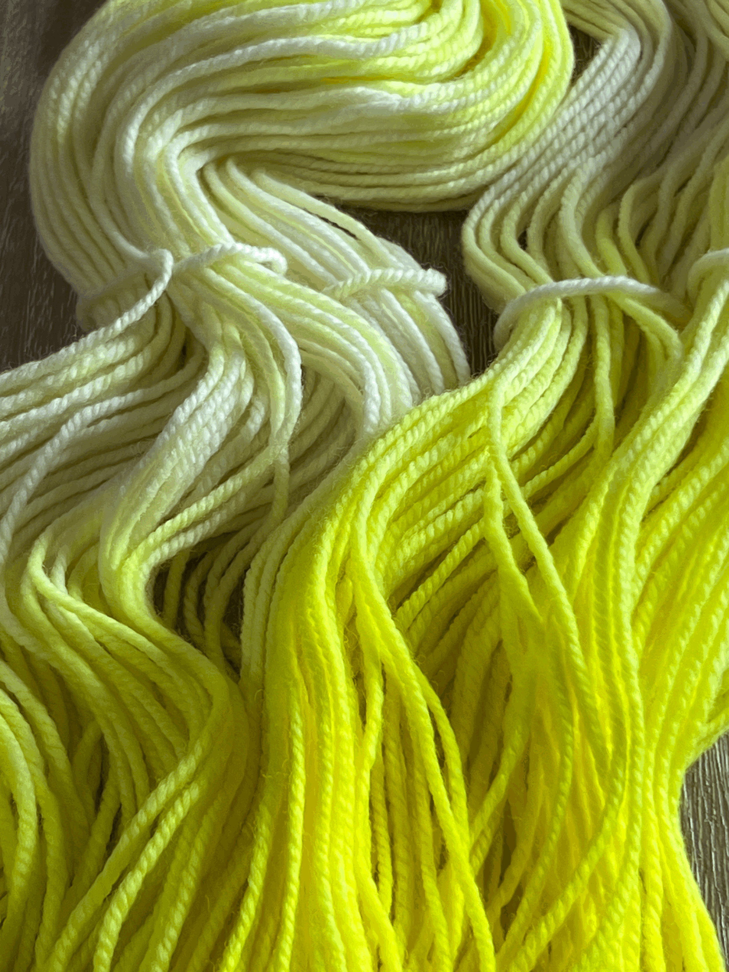 tempImageymeSXI.gif