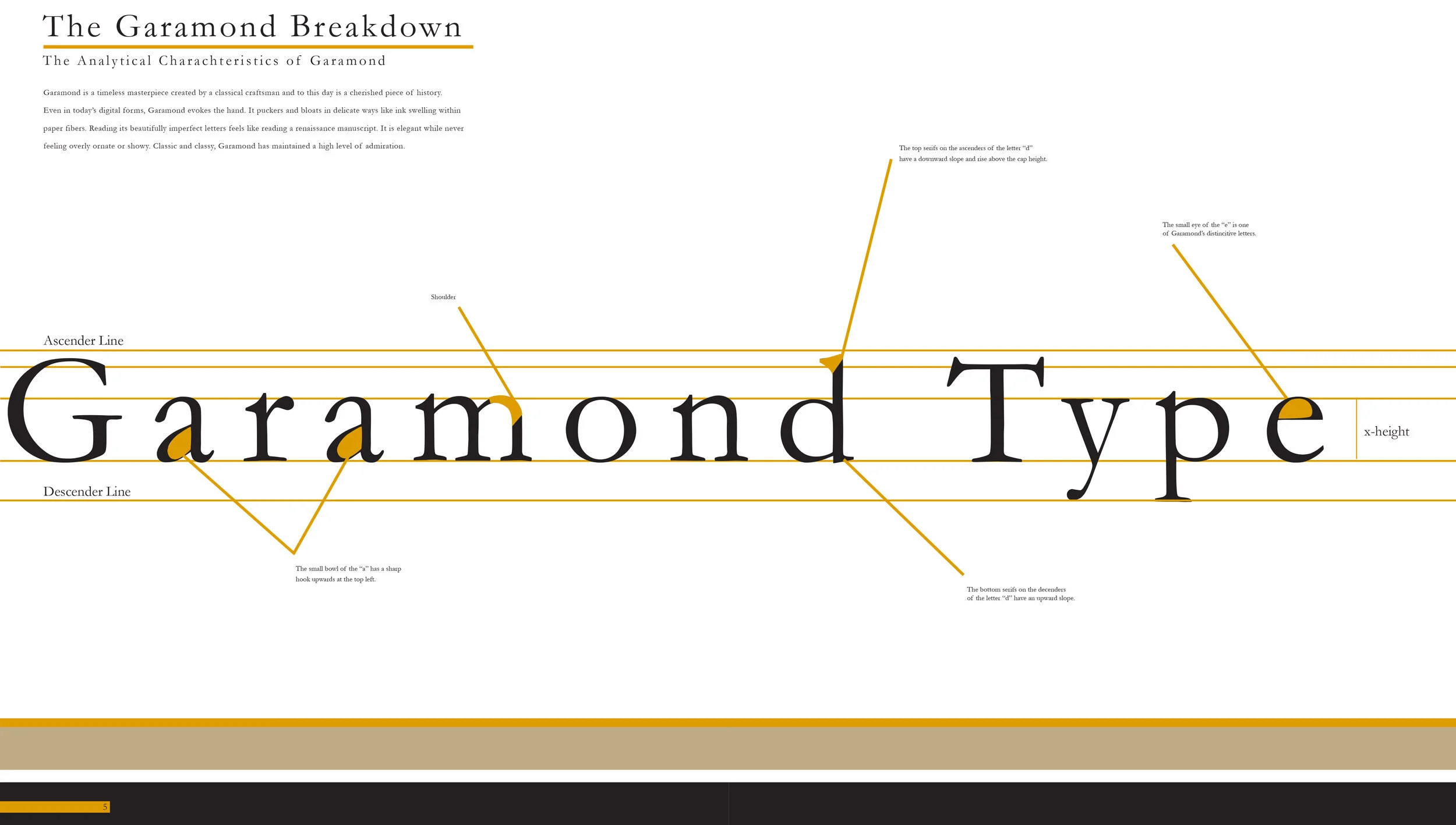 Final Layout  (dragged) 3.jpg