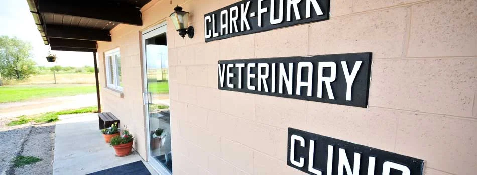 clark veterinary clinic