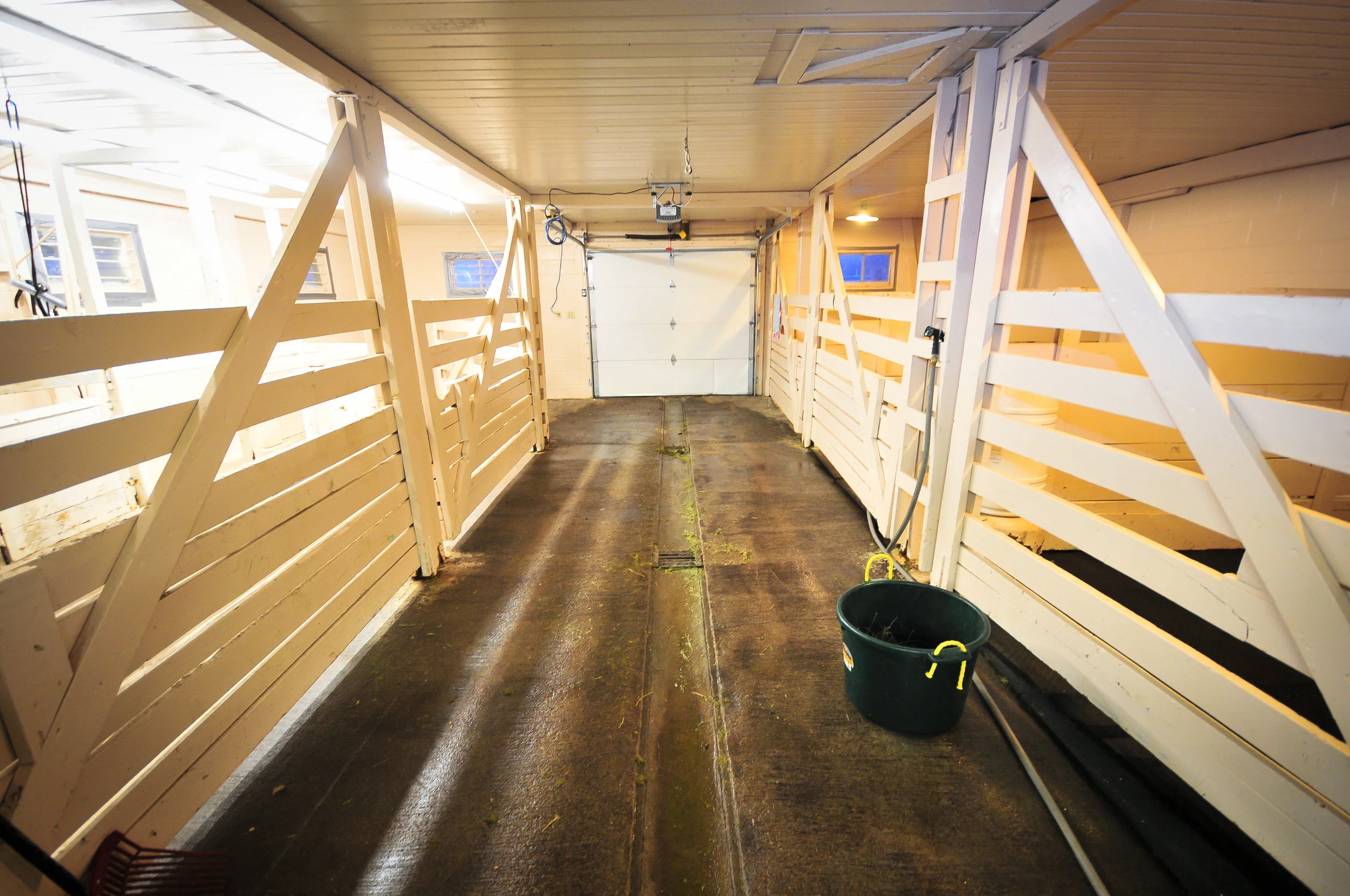 Photo Gallery — Clark Fork Veterinary Clinic