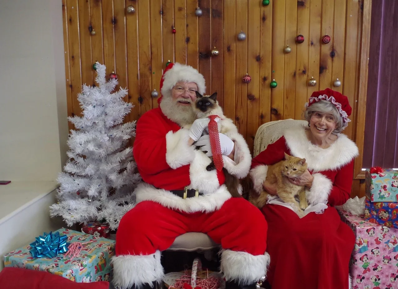 Santa Paws- Christmas Stroll