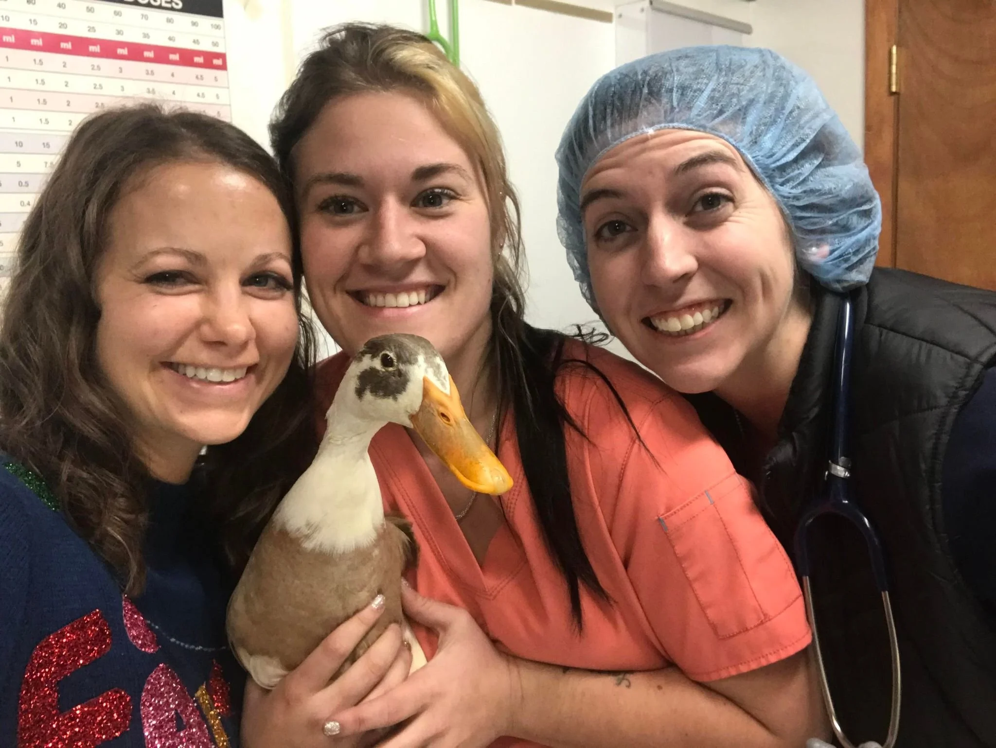 duck 2023.jpg