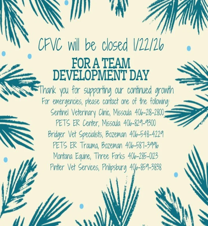 CFVC Bi-Annual Planning Meeting