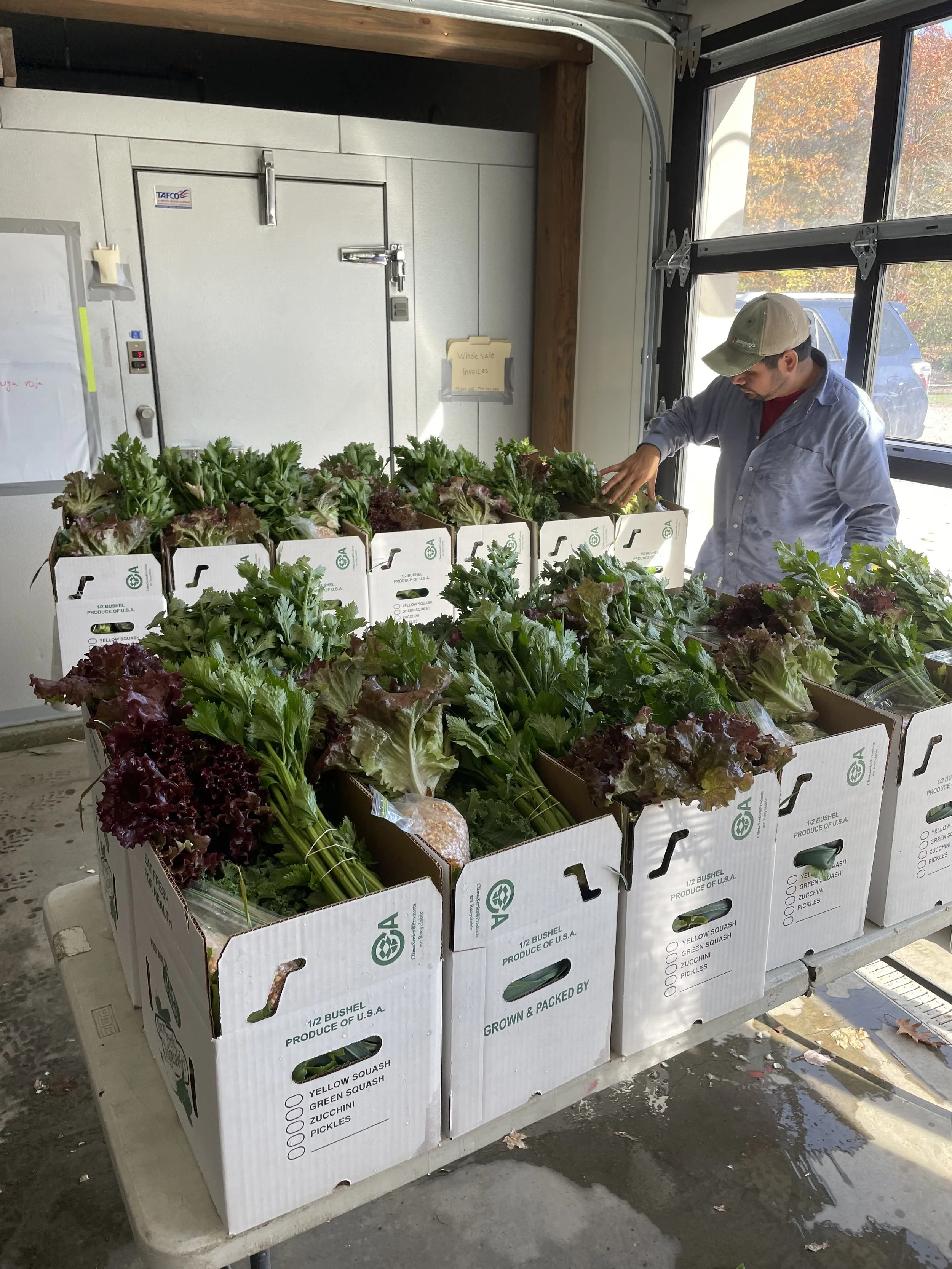 Farmer's Harvest Box