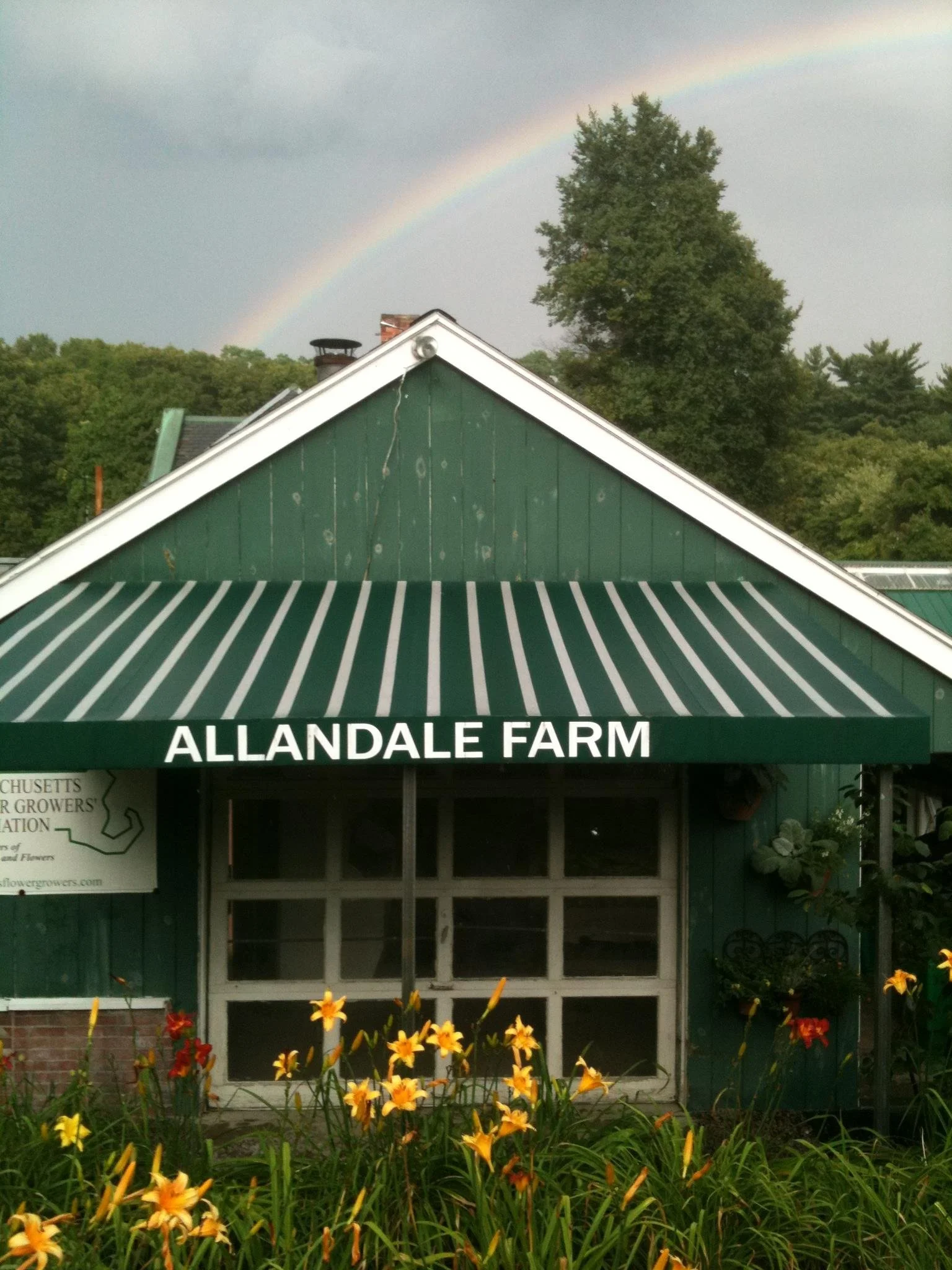 Storefront with rainbow.jpg