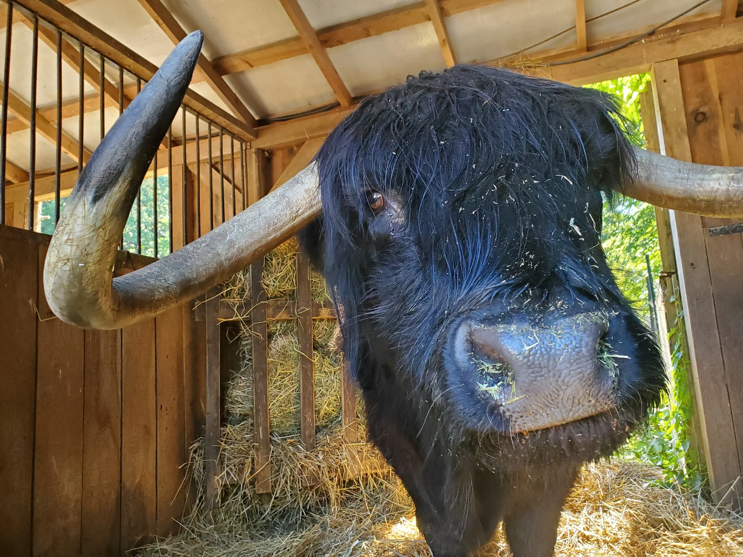 20200820_092426 (1).jpg