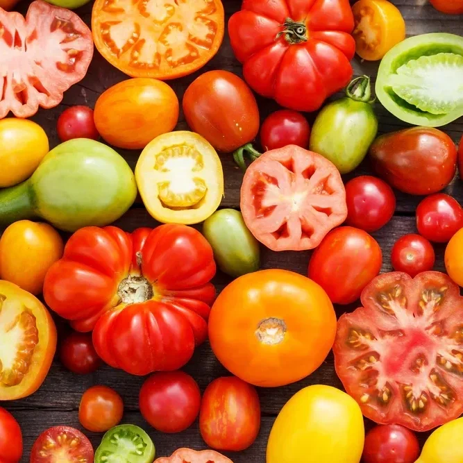 shutterstock_150989213_1000x.webp