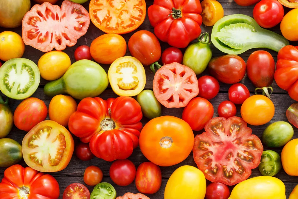 20lb "Seconds" Tomato Box