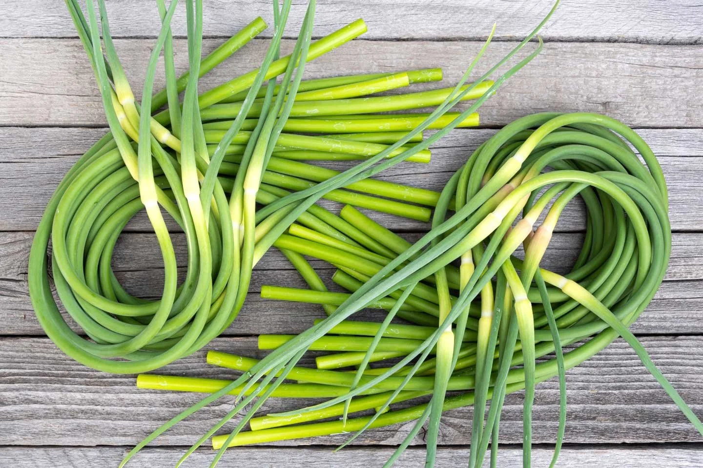 Garlic-Scapes.jpg