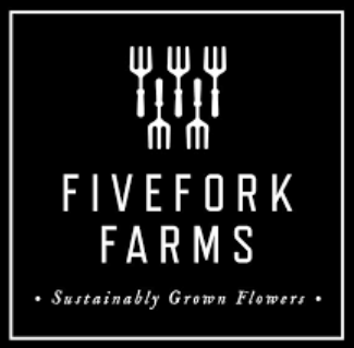 Screenshot 2026-02-04 141130.png