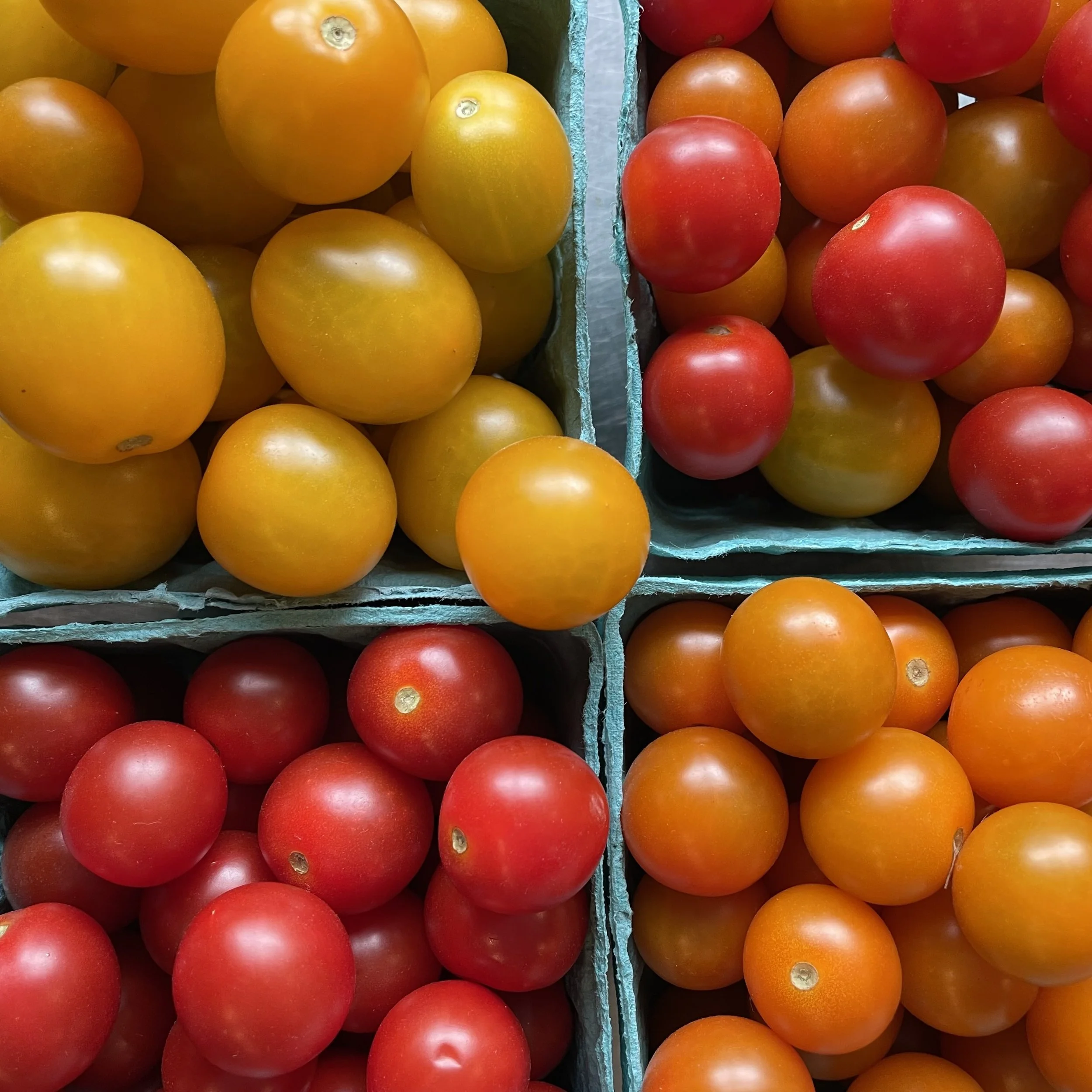 12 pints Cherry Tomatoes