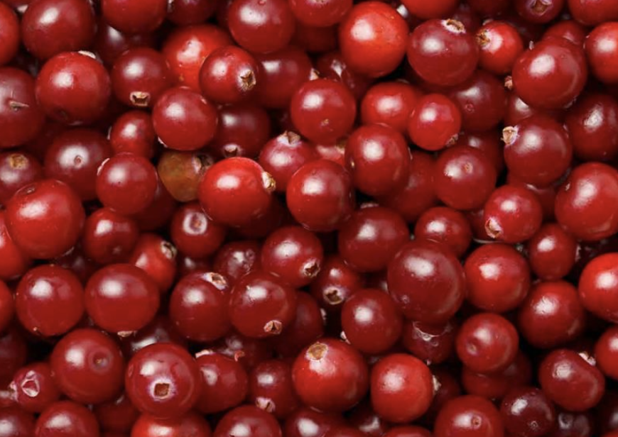 Screenshot 2024-10-25 at 9.19.25 AM.png