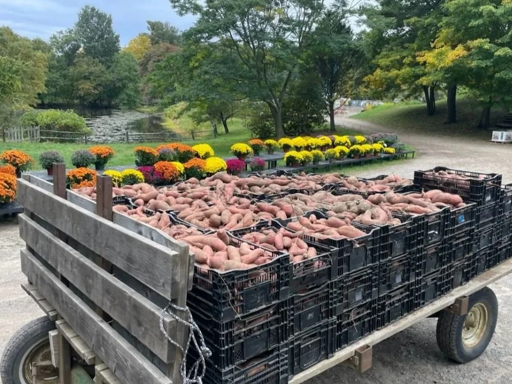 fall+share.jpg