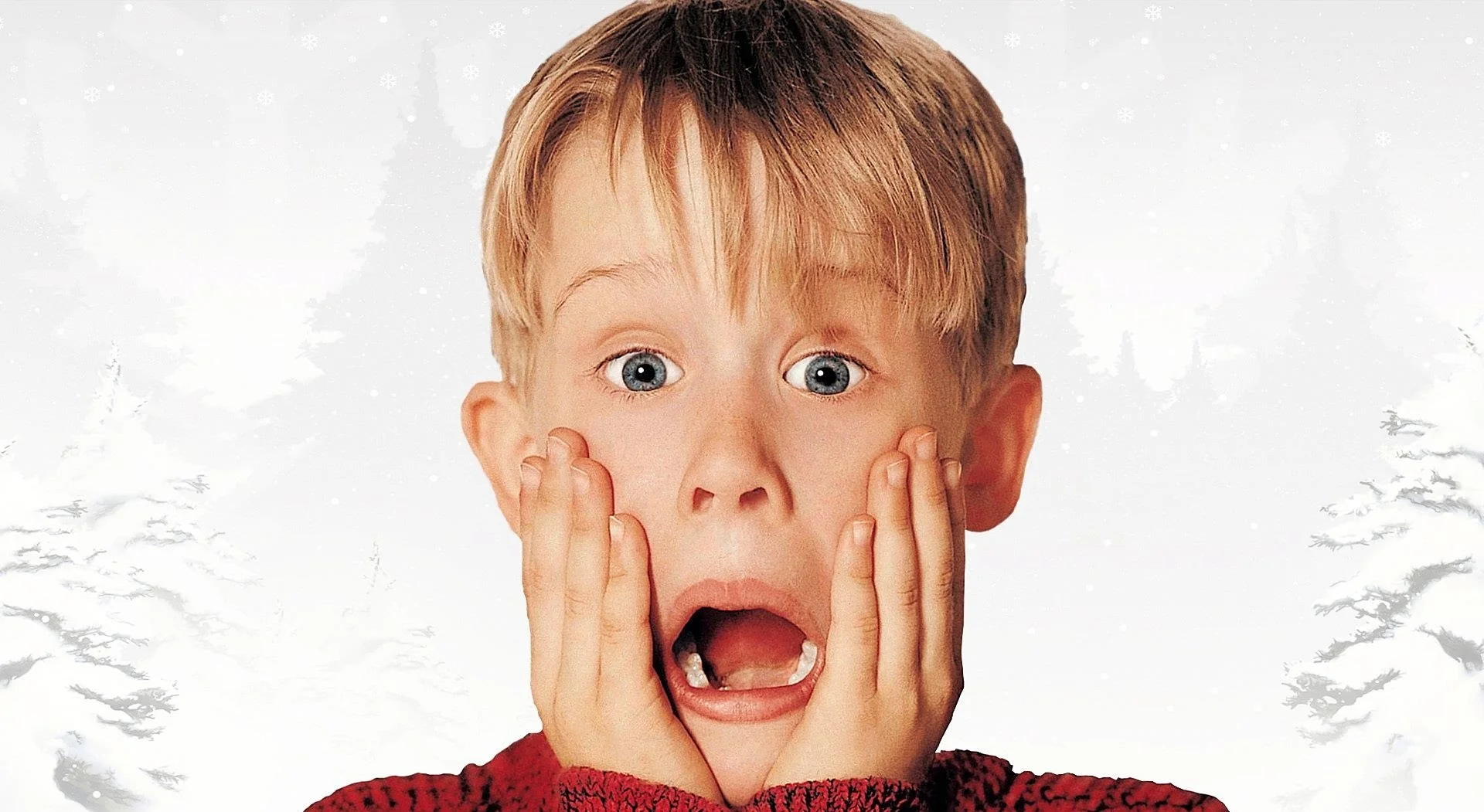 The Home Alone Series (1990 - 2012)