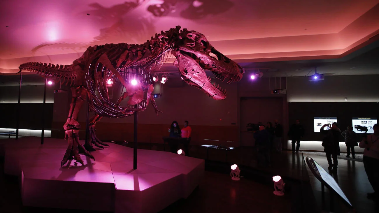 chi-ct-ct-ent-new-home-sue-t-rex-field-museum182-ct0088251613-20181218.jpg